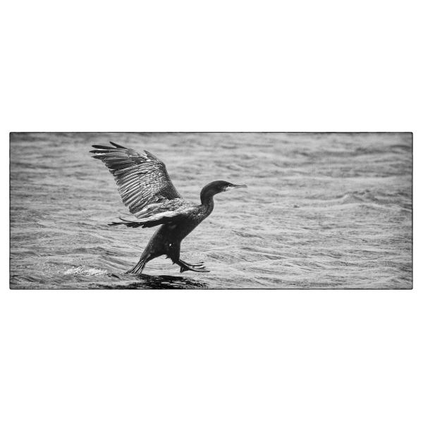 PHOTO84, CLUB, 84 , LUBERON